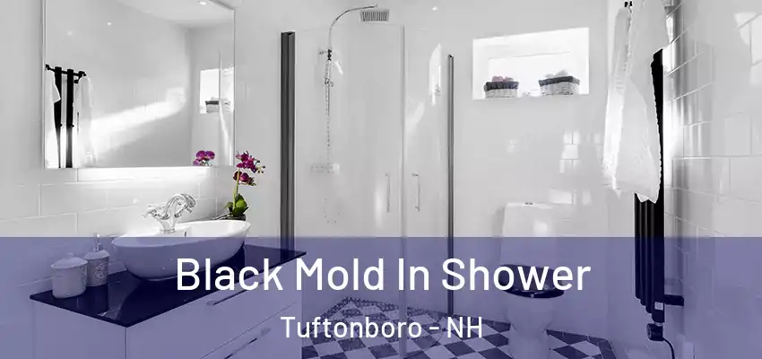 Black Mold In Shower Tuftonboro - NH
