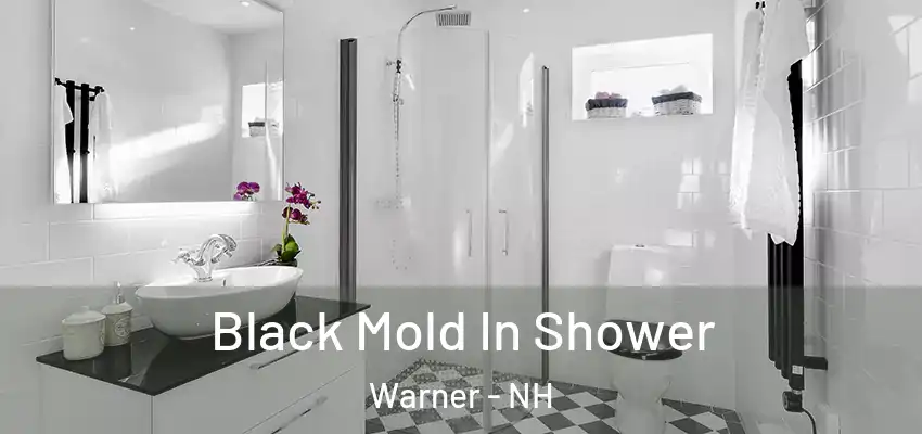  Black Mold In Shower Warner - NH