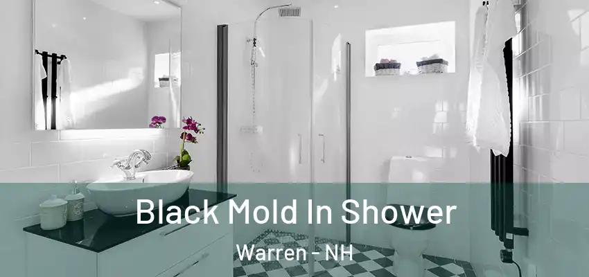 Black Mold In Shower Warren - NH