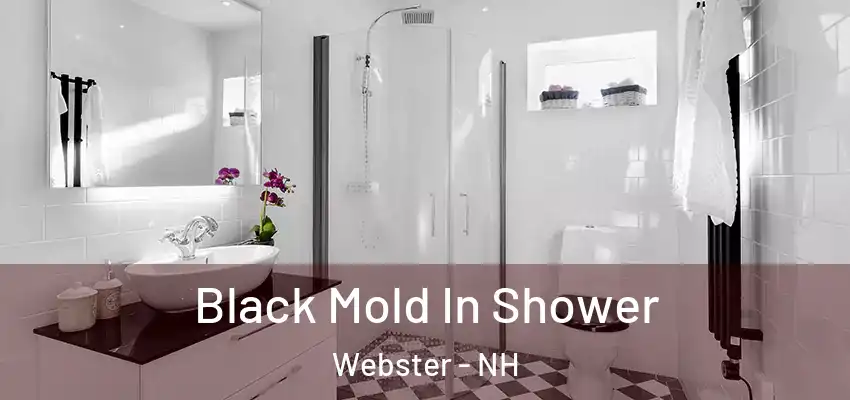  Black Mold In Shower Webster - NH