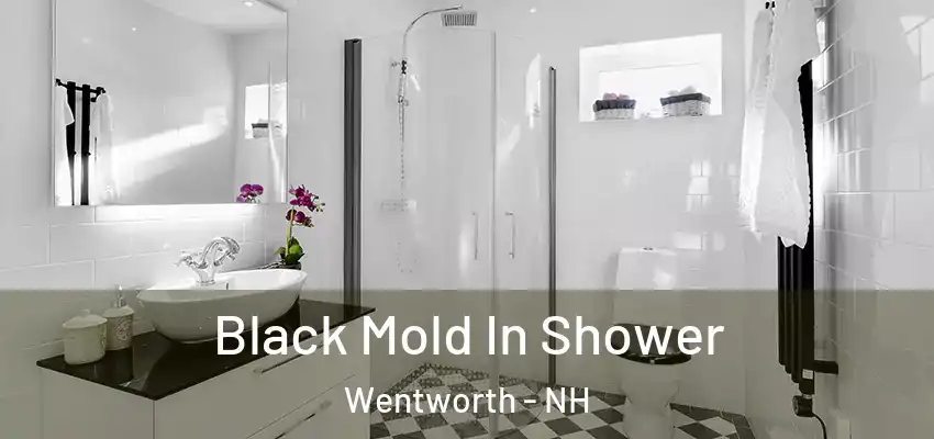 Black Mold In Shower Wentworth - NH
