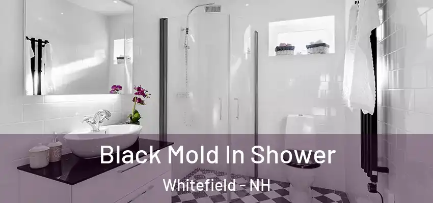  Black Mold In Shower Whitefield - NH