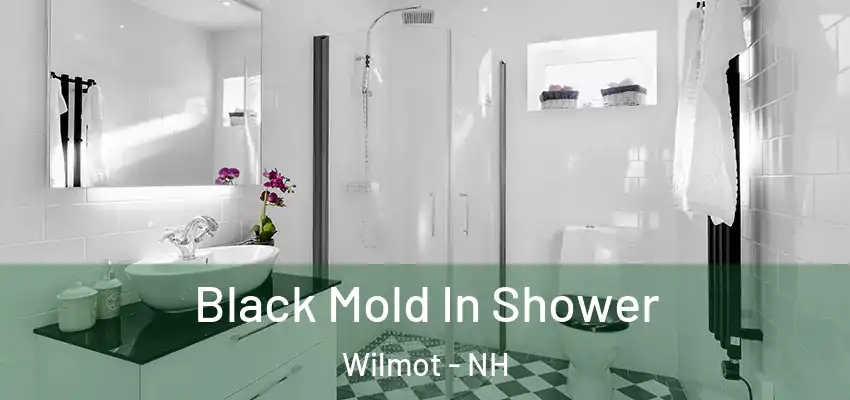 Black Mold In Shower Wilmot - NH