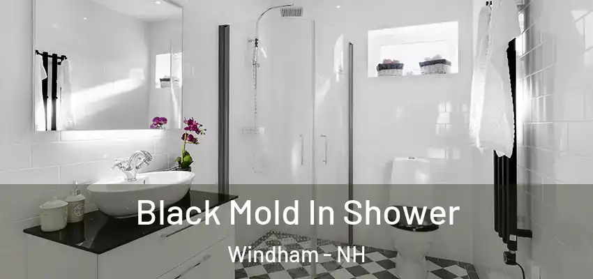  Black Mold In Shower Windham - NH