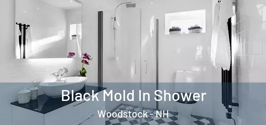 Black Mold In Shower Woodstock - NH