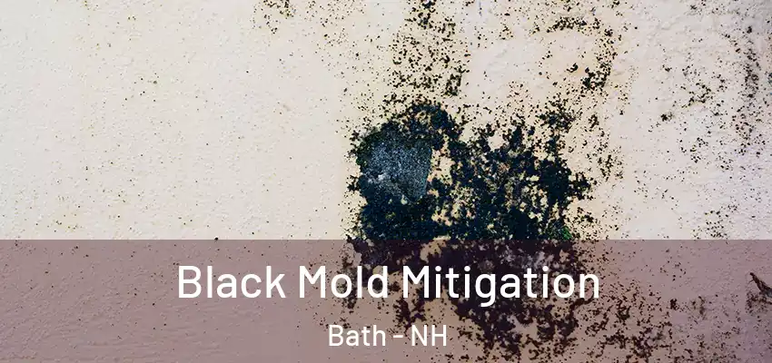  Black Mold Mitigation Bath - NH