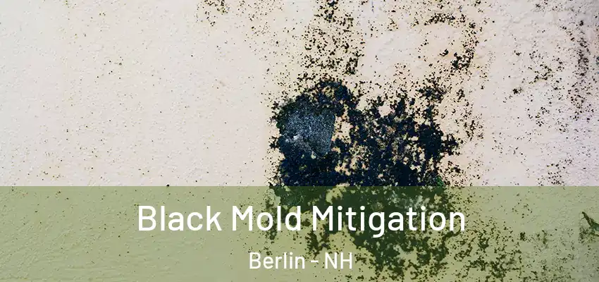  Black Mold Mitigation Berlin - NH