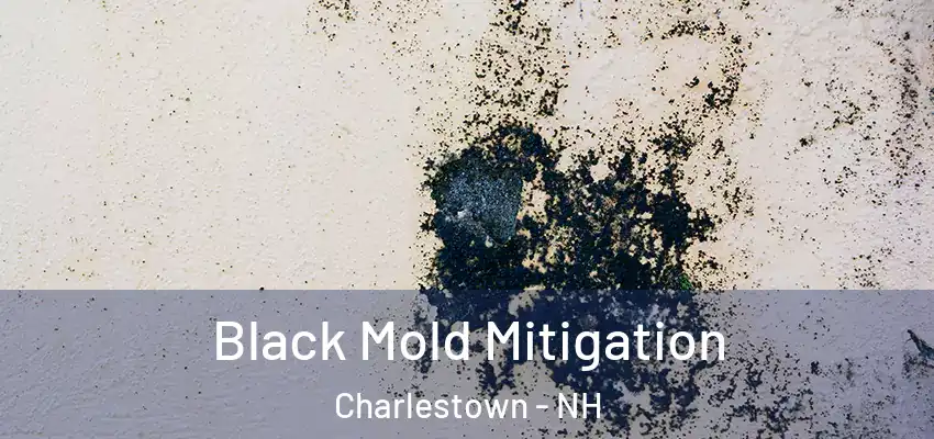 Black Mold Mitigation Charlestown - NH