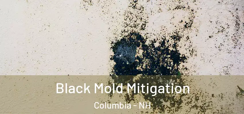 Black Mold Mitigation Columbia - NH