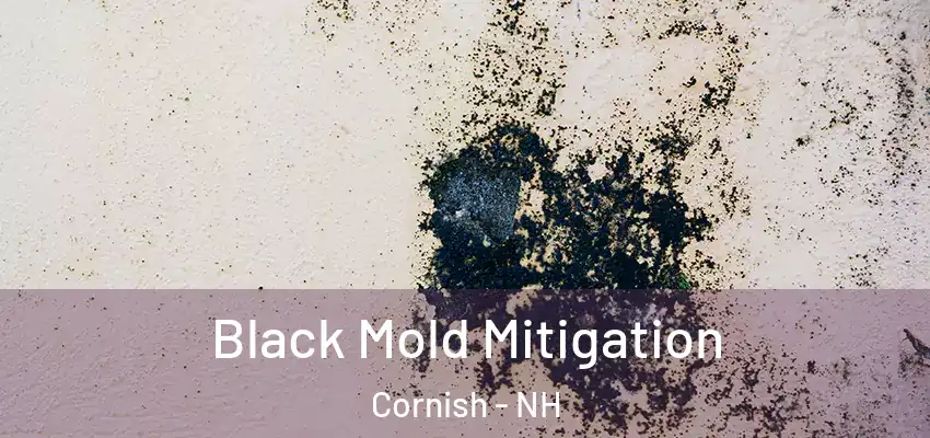  Black Mold Mitigation Cornish - NH