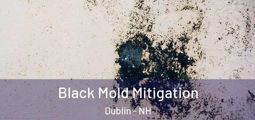 Black Mold Mitigation Dublin - NH
