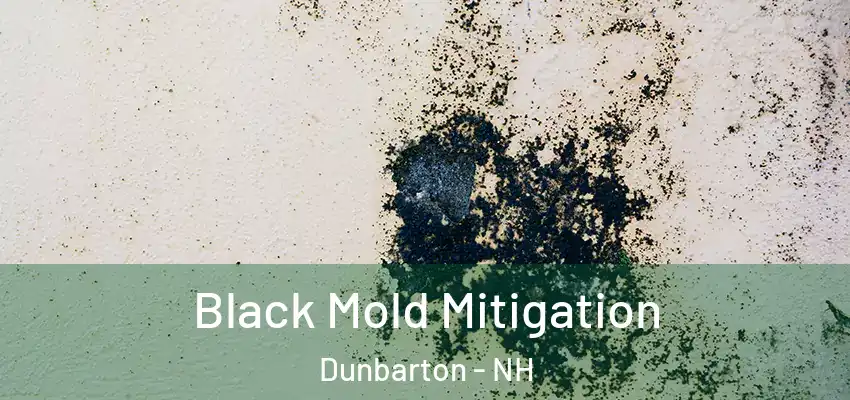  Black Mold Mitigation Dunbarton - NH