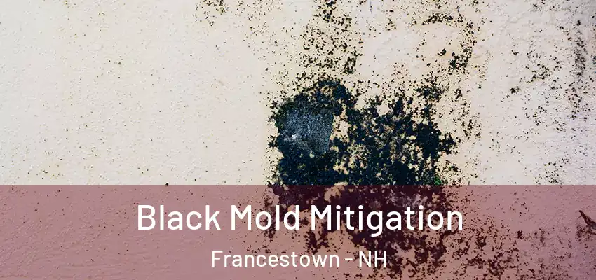  Black Mold Mitigation Francestown - NH