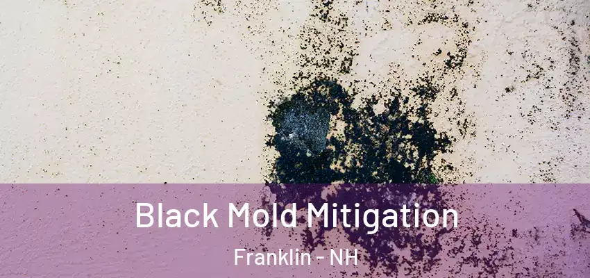  Black Mold Mitigation Franklin - NH