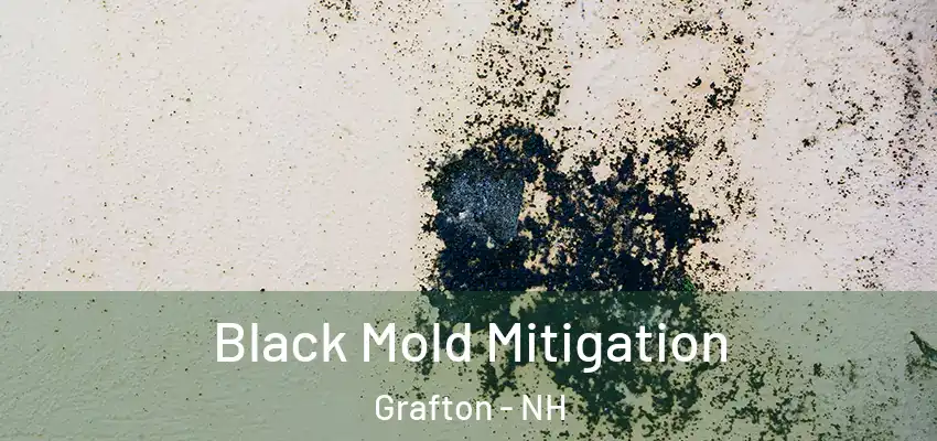 Black Mold Mitigation Grafton - NH