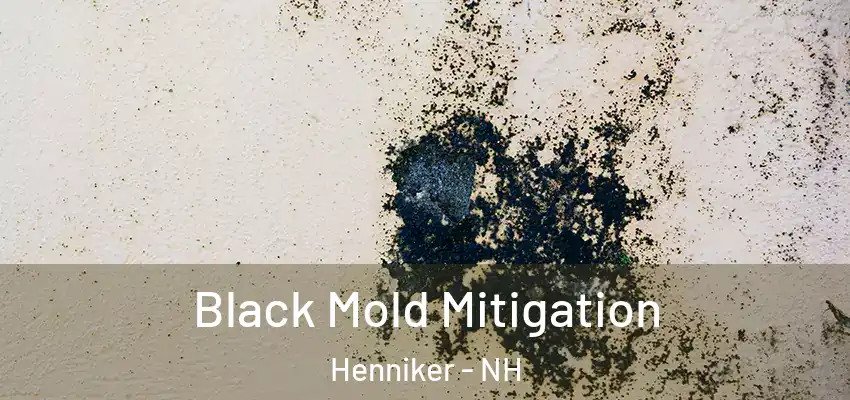  Black Mold Mitigation Henniker - NH