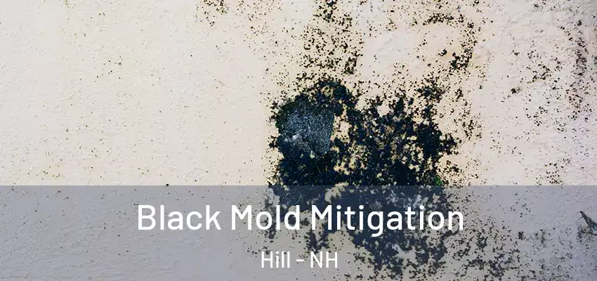 Black Mold Mitigation Hill - NH