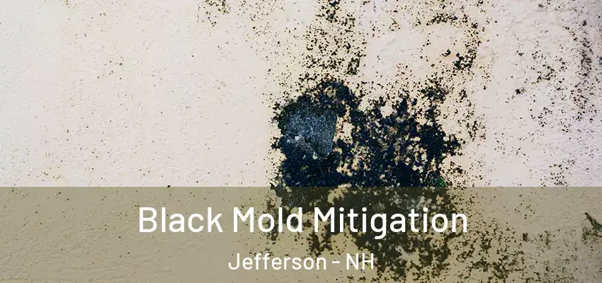 Black Mold Mitigation Jefferson - NH