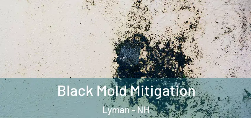 Black Mold Mitigation Lyman - NH