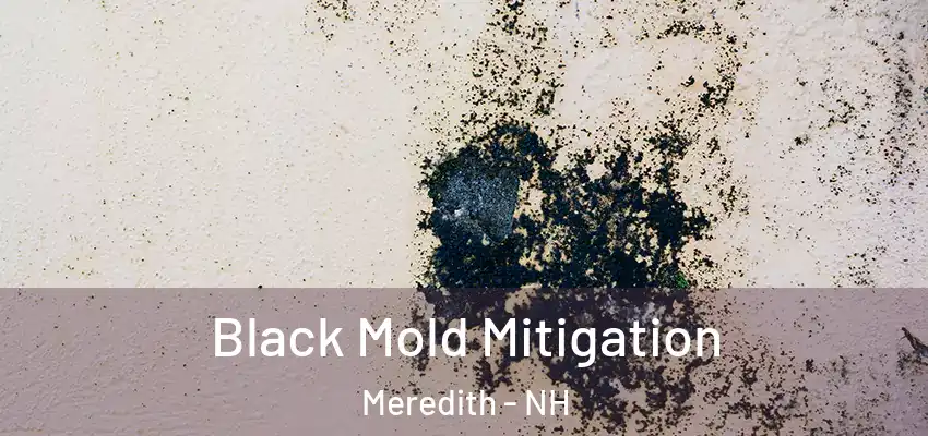  Black Mold Mitigation Meredith - NH
