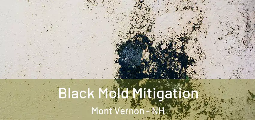  Black Mold Mitigation Mont Vernon - NH