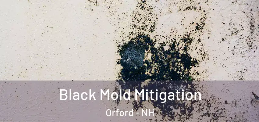 Black Mold Mitigation Orford - NH