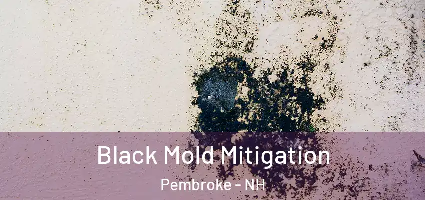  Black Mold Mitigation Pembroke - NH