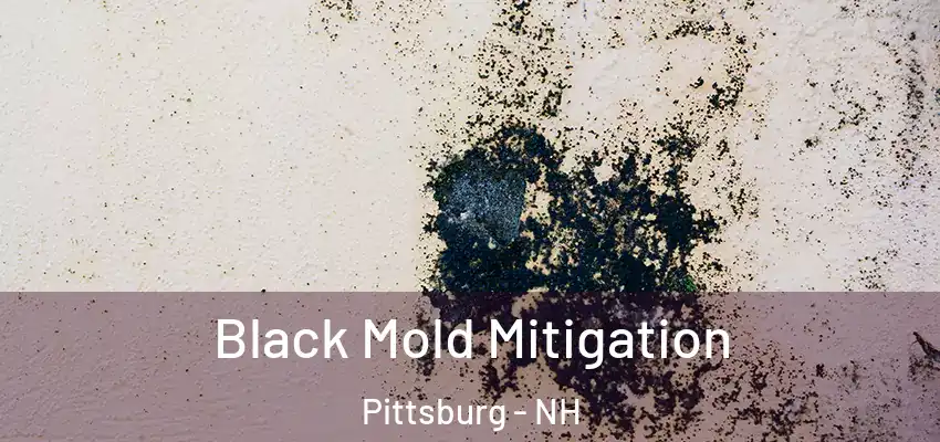 Black Mold Mitigation Pittsburg - NH