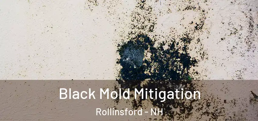  Black Mold Mitigation Rollinsford - NH