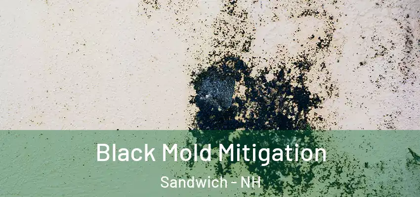 Black Mold Mitigation Sandwich - NH