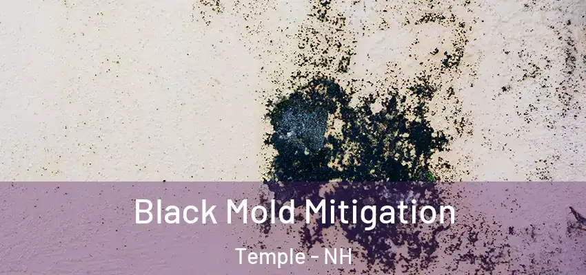  Black Mold Mitigation Temple - NH