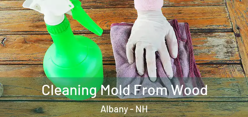 Cleaning Mold From Wood Albany - NH