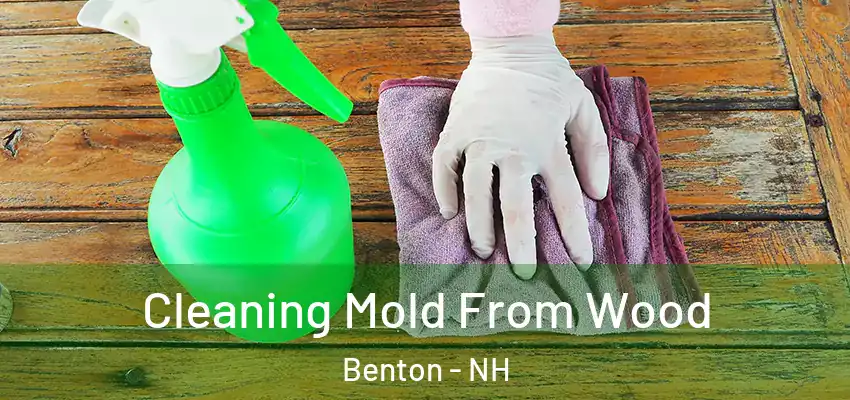 Cleaning Mold From Wood Benton - NH