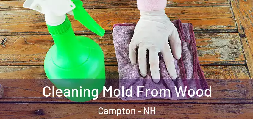 Cleaning Mold From Wood Campton - NH