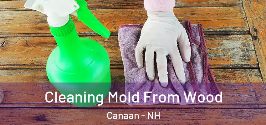 Cleaning Mold From Wood Canaan - NH