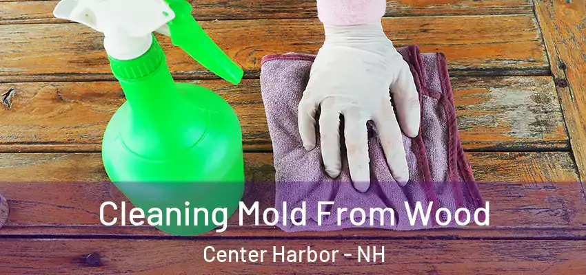 Cleaning Mold From Wood Center Harbor - NH