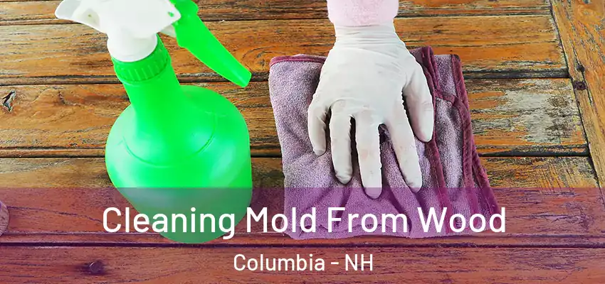 Cleaning Mold From Wood Columbia - NH