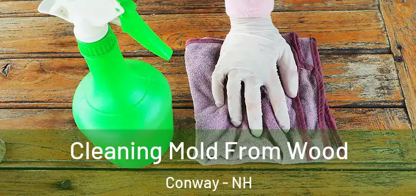 Cleaning Mold From Wood Conway - NH