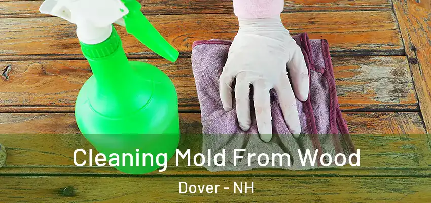 Cleaning Mold From Wood Dover - NH