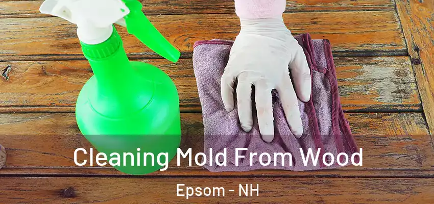  Cleaning Mold From Wood Epsom - NH