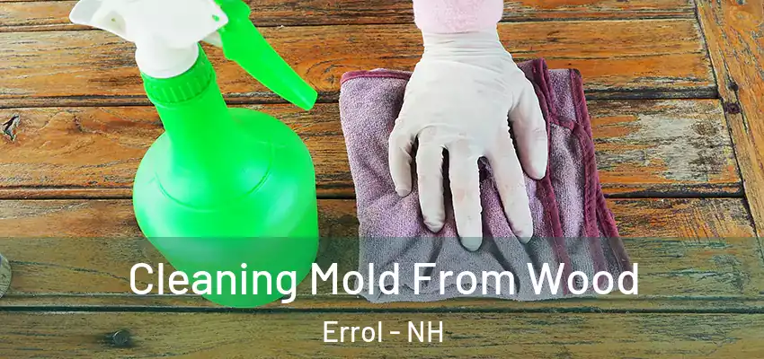 Cleaning Mold From Wood Errol - NH