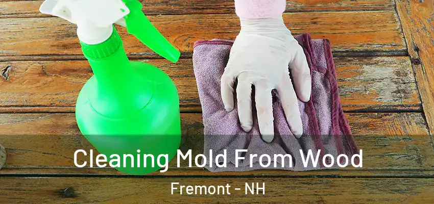  Cleaning Mold From Wood Fremont - NH