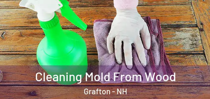 Cleaning Mold From Wood Grafton - NH