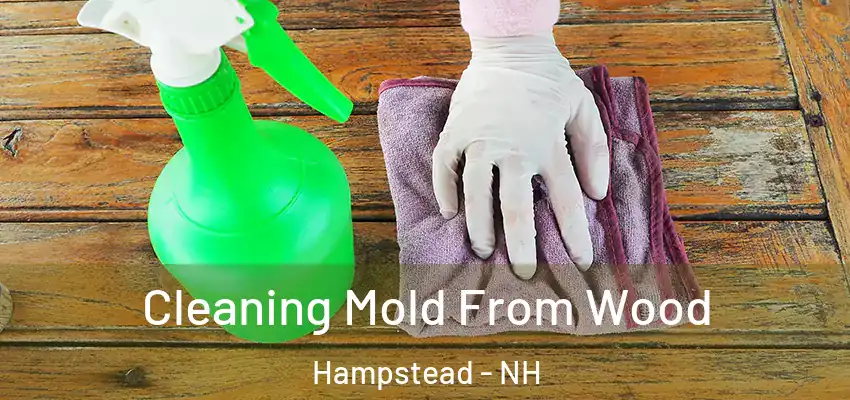  Cleaning Mold From Wood Hampstead - NH