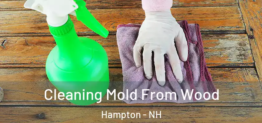 Cleaning Mold From Wood Hampton - NH
