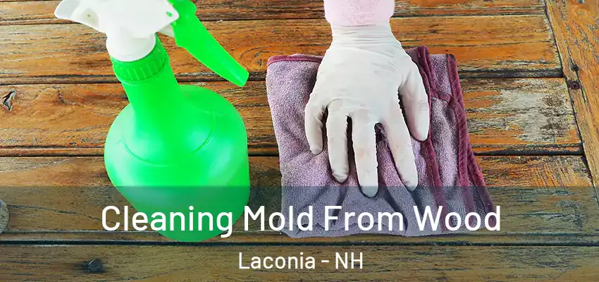 Cleaning Mold From Wood Laconia - NH