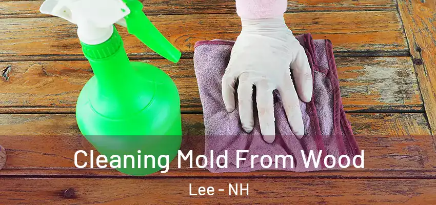  Cleaning Mold From Wood Lee - NH