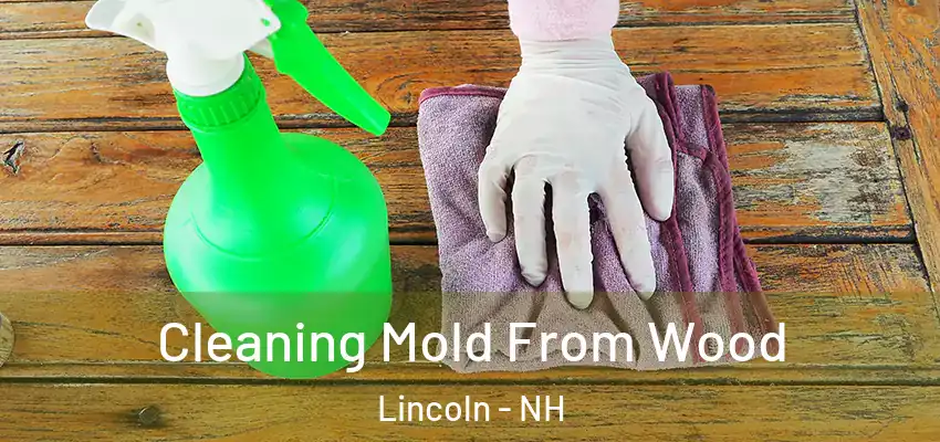 Cleaning Mold From Wood Lincoln - NH