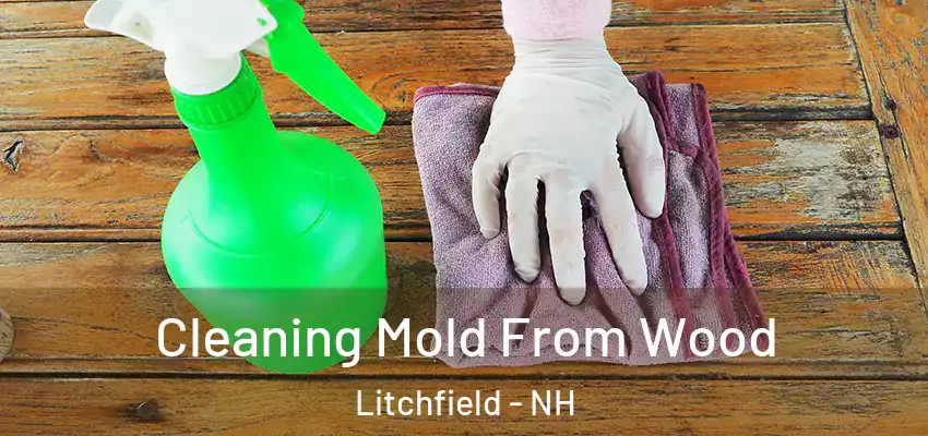  Cleaning Mold From Wood Litchfield - NH