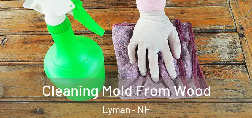 Cleaning Mold From Wood Lyman - NH